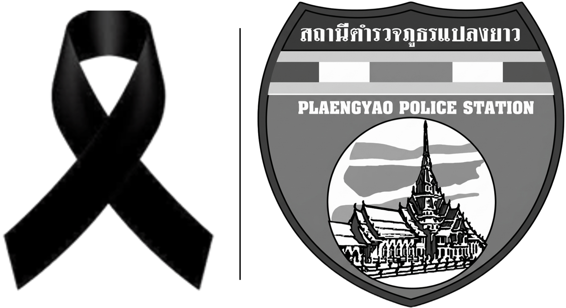 สถานีตำรวจภูธรแปลงยาว logo